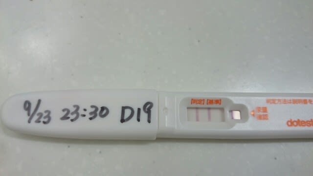 2周期目 排卵日考察 プー子の女の子産み分けブログ 2周期目 排卵日考察 プー子の女の子産み分けブログ