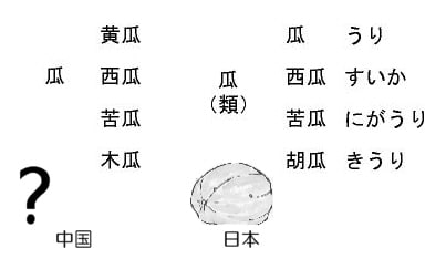 漢字は分析的か ６０歳からの視覚能力