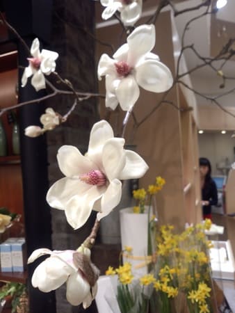 東京駅 青山フラワーマーケット 石巻 飾り巻き寿司 おかめのえくぼ