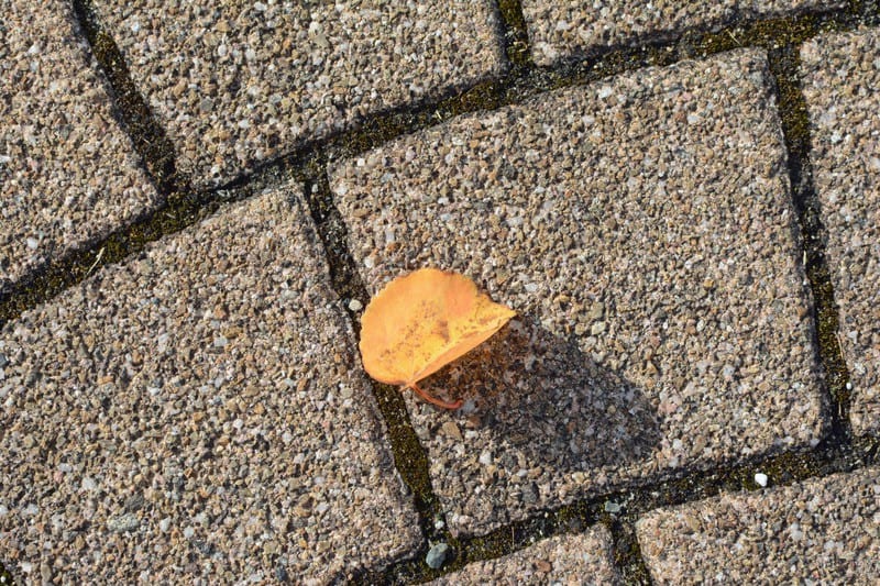 Dsc_3114_2 Dsc_3114_2