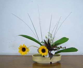 夏の代表的な花 ヒマワリ の自由花 池坊 花のあけちゃんブログ明田眞子 花の力は素晴らしい 広島で４０年 池坊いけばな 教室 熱心な方々と楽しく生けてます