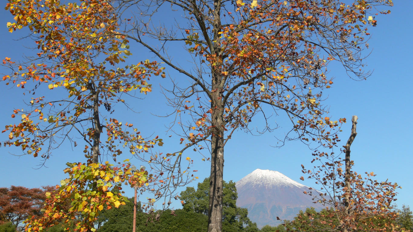 紅葉と富士 テニスコート付近 パソコンときめき応援団 壁紙写真館