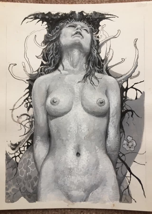 裸ドーン と 普通なペン画イラスト3枚 秋吉 巒 の孫のブログ