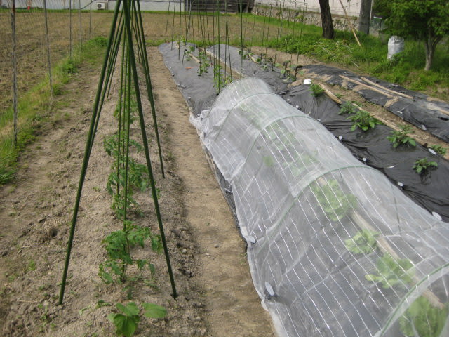 Img_2789 Img_2789