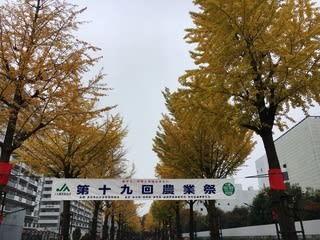 光が丘の農業祭 ぴおたjazz研究所 光が丘の農業祭 ぴおたjazz研究所