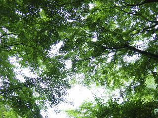 05年5月のブログ記事一覧 空の色