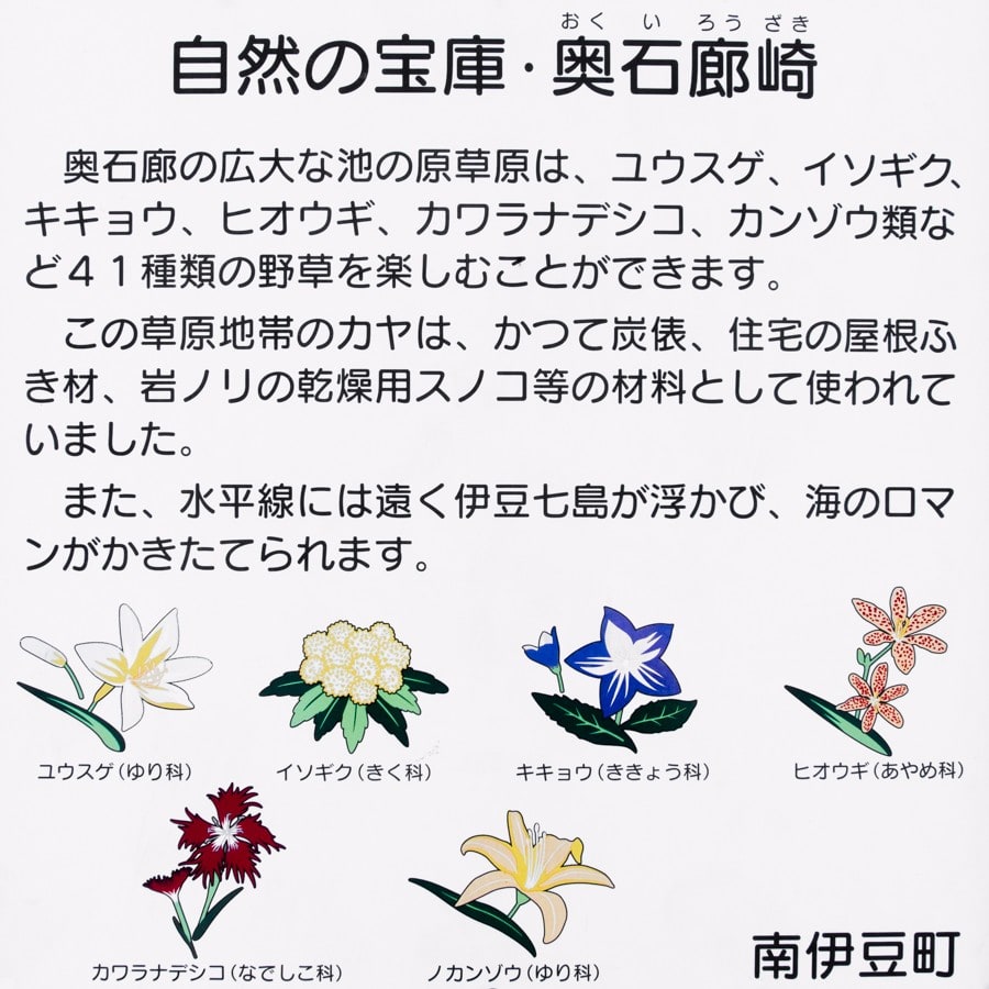 奥石廊崎 あいあい岬 世捨猫のマンドク生活 奥石廊崎 あいあい岬 世捨猫のマンドク生活