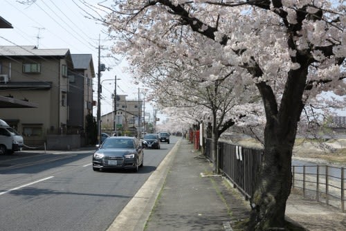 ヨドバシ京都 自転車 何階