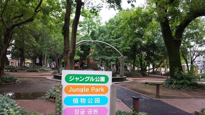 ジャングル公園 大分県大分市 街の中に密林 おでかけたいむす