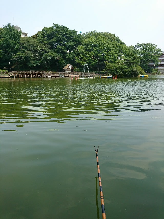 見次公園に行ってきた ダブルヘッダー 後半戦 カッパの淡々スイスイ 見次公園に行ってきた ダブルヘッダー 後半戦 カッパの淡々スイスイ