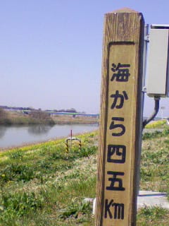 海から45km