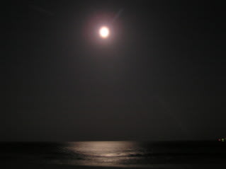 夜の月明かりの海は美しい ネイチャーワールド Http Www2 Odn Ne Jp o 子供の頃の自然の中での想い出