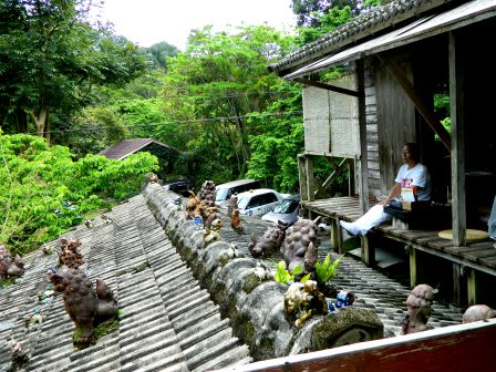 やんばる やちむん喫茶シーサー園 沖縄楽園生活 沖縄実生活編 沖縄移住者が沖縄から発信する 沖縄移住を考える熟年者向ブログです