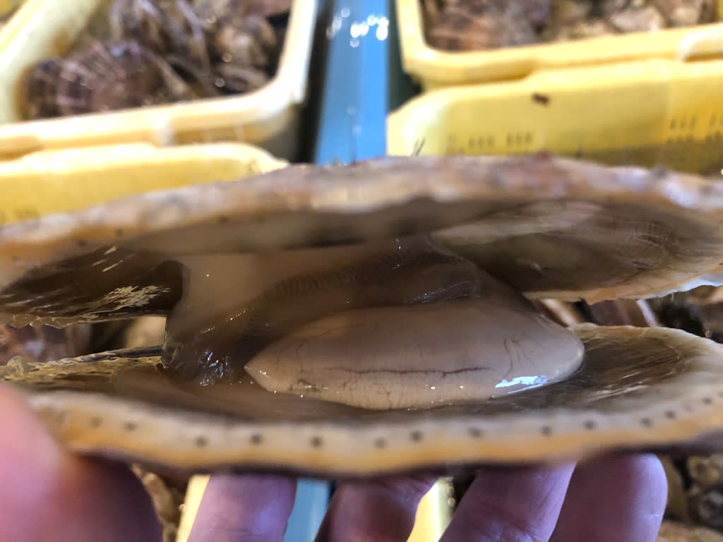 ホタテ 真鱈安定の値段 丸友しまかのお魚日記 ホタテ 真鱈安定の値段 丸友しまかのお魚日記
