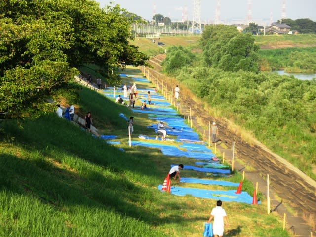 花火大会本番の日の画像