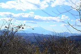 gozen-14.jpg