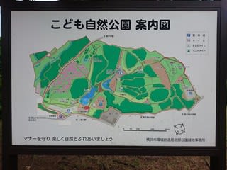 こども自然公園 神奈川県横浜市 だいぢのeasybassing