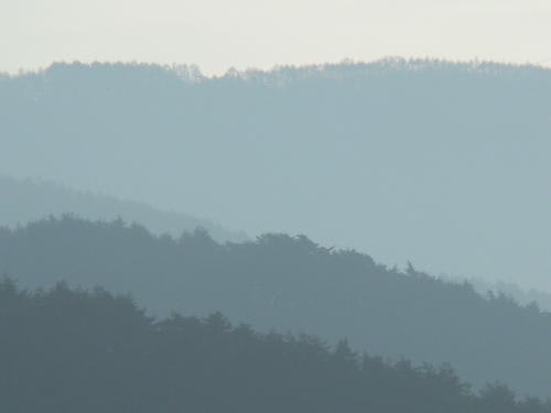 朝の東山