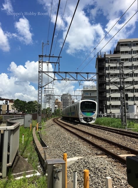 イメージ 5