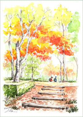 つくば市 並木公園の紅葉 おさんぽスケッチ にじいろアトリエ 水彩 色鉛筆イラスト スケッチ