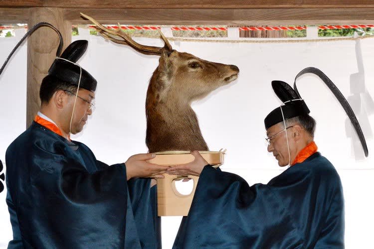 御頭祭 は今日行われます 諏訪大社の狩猟の神を称える伝統の祭り 阿智胡地亭のshot日乗