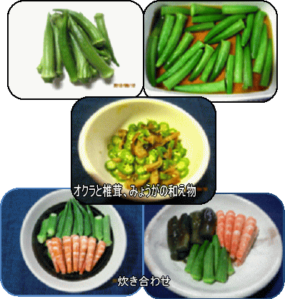 野菜類 のブログ記事一覧 9ページ目 男の料理指南