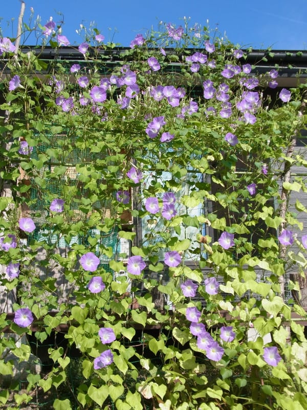 Rimg0003_3 Rimg0003_3