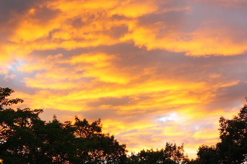 暦は処暑なのに～～ - 奥河内の里道で・・・