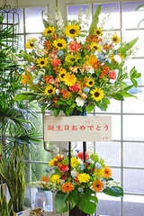 愛知県名古屋市 飲み屋さんへお誕生日祝い花 開店祝い 公演祝いの御祝スタンド花 胡蝶蘭 全国へ花をお届け 花屋 花助のブログ