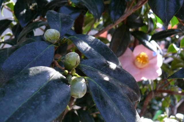 P3210351