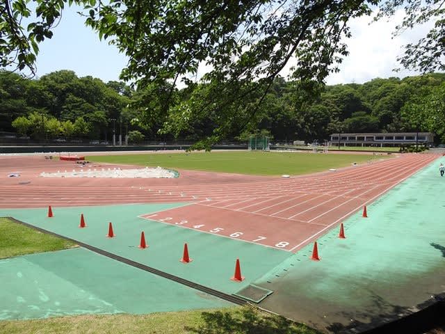 城山陸上競技場 横浜のほほん 続