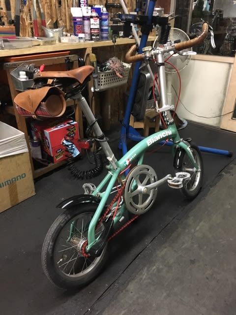 2021新発 ビアンキノビータ Bianchi novita mandhucollege.edu.mv