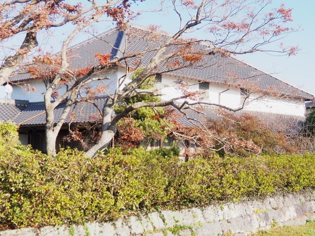 旧松倉家住宅 宮村家住宅 高木医院 熊本から気ままに山と自転車のブログ