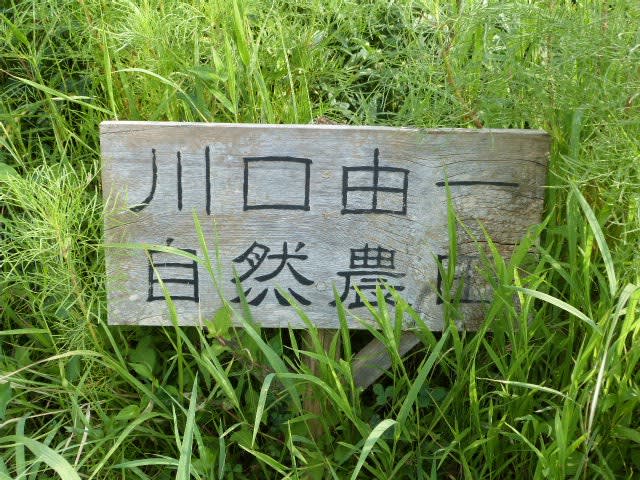山田勉さん制作 川口由一さんの自然農がyoutubeにてご紹介されています 19 2月 君は銀河の青い風 八木真由美 岡山