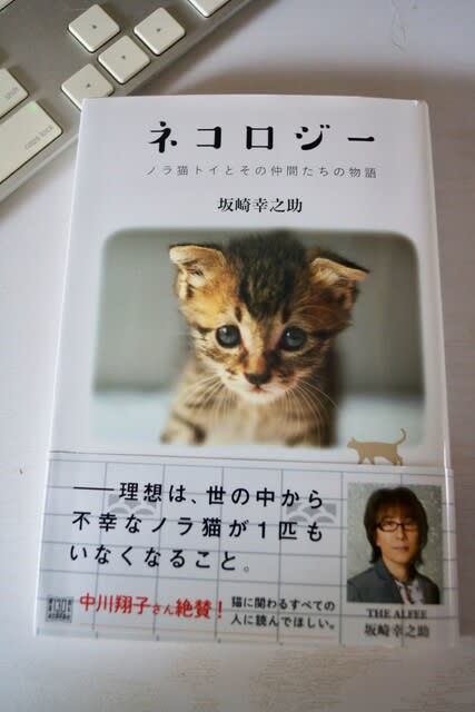 私の教科書/ネコロジー/THE ALFEE 坂崎幸之助著 - 三太郎一家