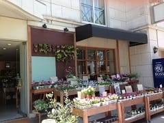 No52 箕面市箕面 癒しの花と空間が待っている生花店 花と暮らす店 木花 Mocca 風水 運勢プランニング エガオールの開運いらっしゃ い No52 箕面市箕面 癒しの花と空間が待っている生花店 花と暮らす店 木花 Mocca 風水 運勢プランニング エガオールの開運いらっしゃ い