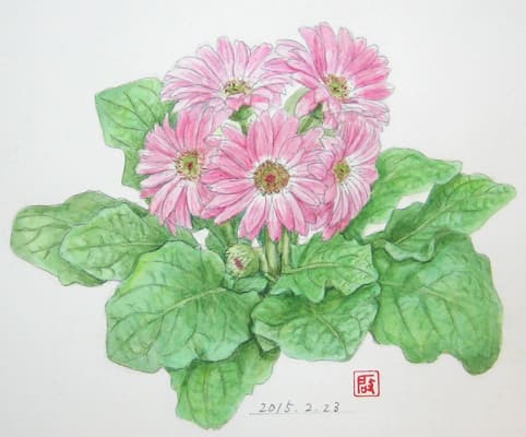中国画家による四季咲きの草花の水彩画 - 美術品