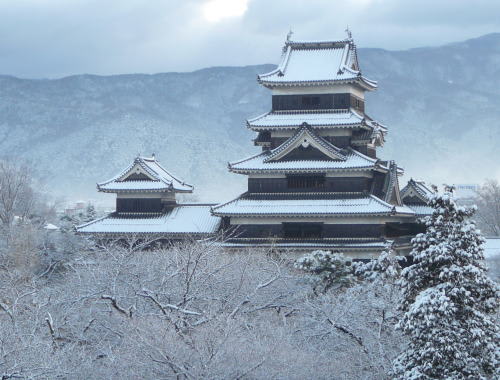 松本城　2009/1/10