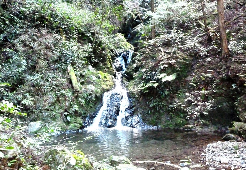 五里山林道奥の小滝 五里山林道奥の小滝