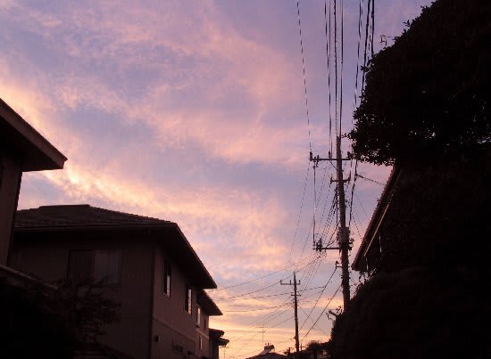 息子と見た空 おべんとう フリー素材