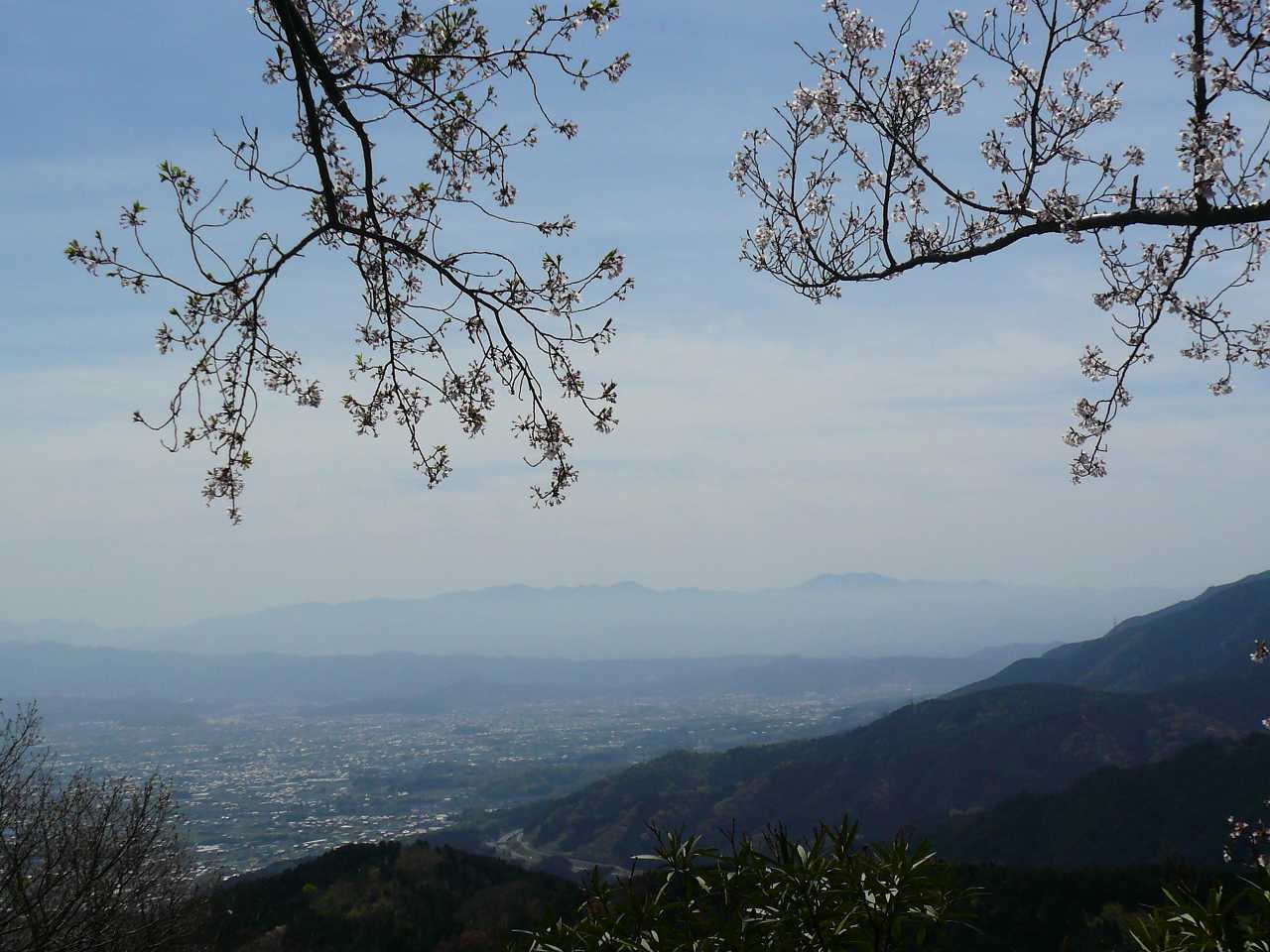 071 二上山 桜めぐり サランヘヨ 登山