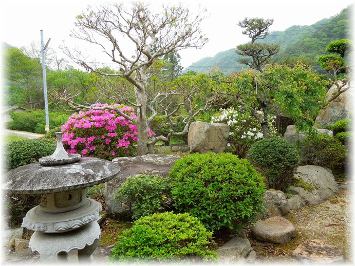 さつき 2013年5月10日