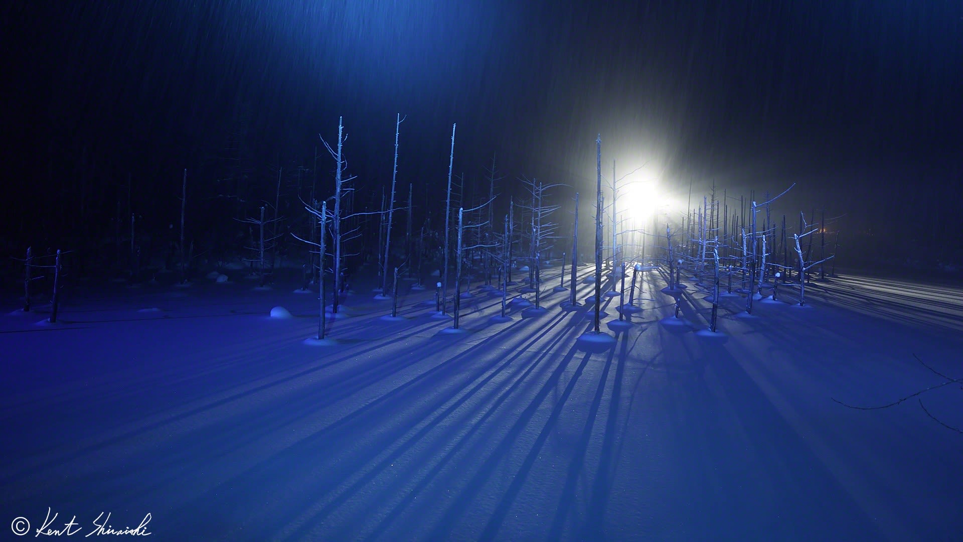 10万人突破 冬の青い池 観光客 Kent Shiraishi Photo Blog