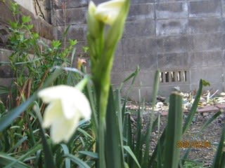 老女3人 昔話に花咲かす シルバー日記 老女3人 昔話に花咲かす シルバー日記