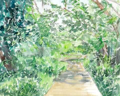 水彩画「小網代湾」 水彩画「小網代の森」