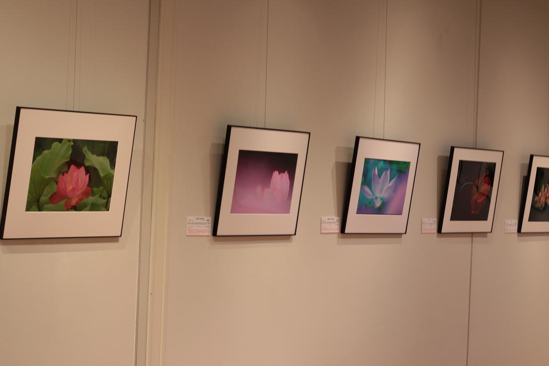 第１６回山崎隆行の楽しい写真写真教室の画像