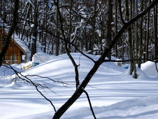 一月です、雪が見えます。