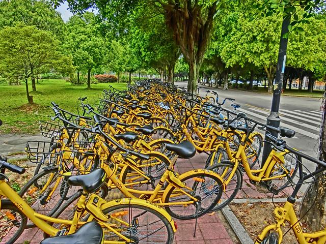 シェアリング自転車 中国 破棄