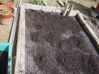 育苗床の作り方 プロの農業技術を見習いたいおっさんのつぶやき