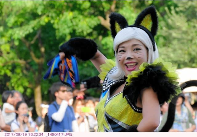 黒猫ダンサー 〈ハロウィーン・ポップンライブ2017〉 TDL 黒猫ダンサー 〈ハロウィーン・ポップンライブ2017〉 TDL
